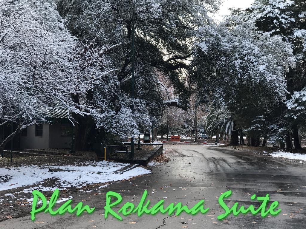 Plan Rokama Suite 586 Mendoza Exteriör bild